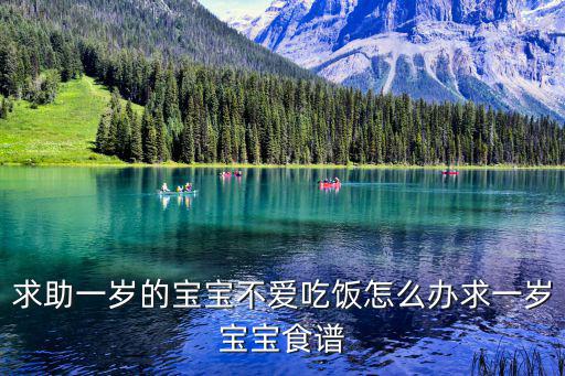 求助一歲的寶寶不愛吃飯怎么辦求一歲寶寶食譜
