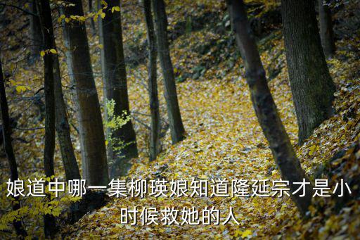 娘道中哪一集柳瑛娘知道隆延宗才是小時候救她的人