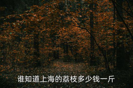 誰知道上海的荔枝多少錢一斤
