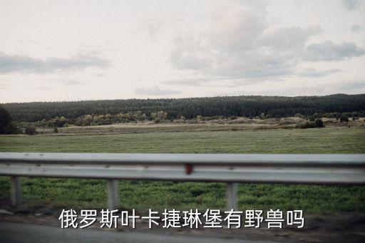 俄羅斯葉卡捷琳堡有野獸嗎