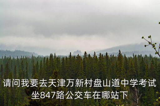 請問我要去天津萬新村盤山道中學考試坐847路公交車在哪站下