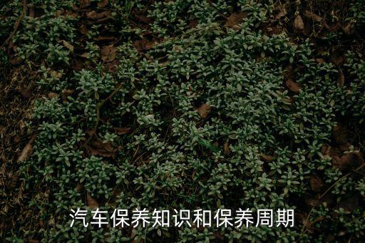 汽車保養(yǎng)知識和保養(yǎng)周期