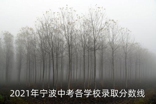 2021年寧波中考各學校錄取分數線