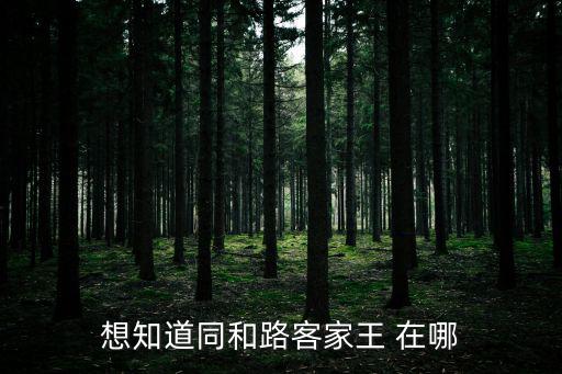 客家王，想知道同和路客家王 在哪