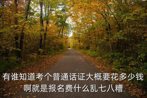 有誰知道考個普通話證大概要花多少錢啊就是報名費什么亂七八糟