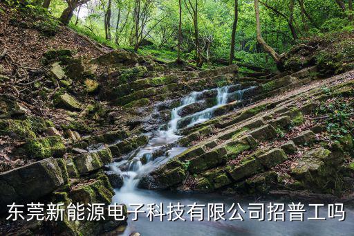 東莞新能源電子科技有限公司招普工嗎