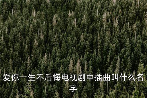 愛你一生不后悔電視劇中插曲叫什么名字