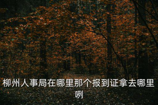 柳州人事局在哪里那個報到證拿去哪里咧