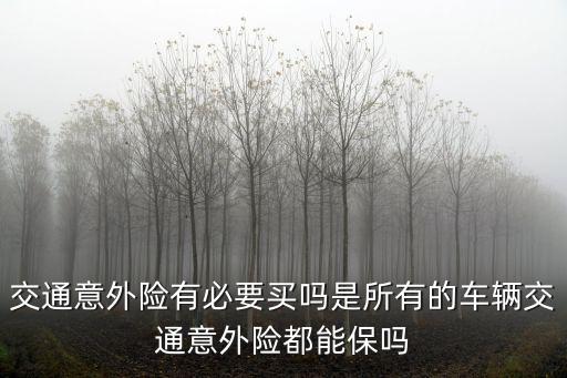 交通意外險(xiǎn)有必要買(mǎi)嗎是所有的車(chē)輛交通意外險(xiǎn)都能保嗎