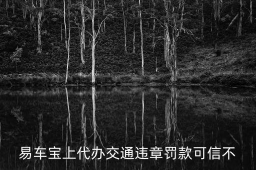易車寶上代辦交通違章罰款可信不