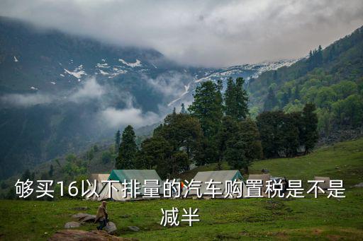 夠買16以下排量的汽車購置稅是不是減半