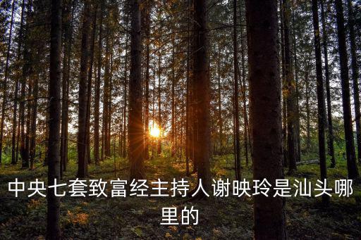 中央七套致富經(jīng)主持人謝映玲是汕頭哪里的
