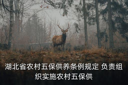 五保供養條例，農村五保供養工作條例的介紹