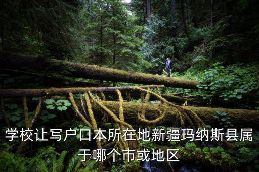 學校讓寫戶口本所在地新疆瑪納斯縣屬于哪個市或地區