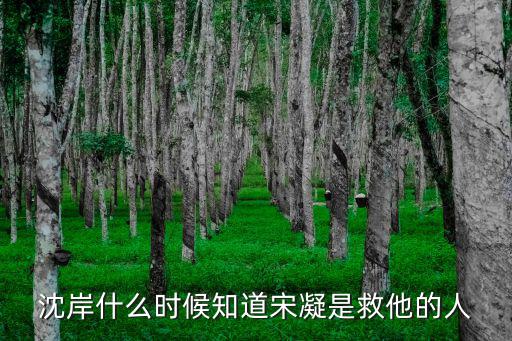 沈岸宋凝，華胥引最后結局沈岸和宋凝怎樣了