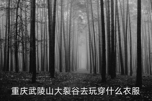 重慶武陵山大裂谷，重慶武陵山大裂谷門票是多少節假日有沒有優惠