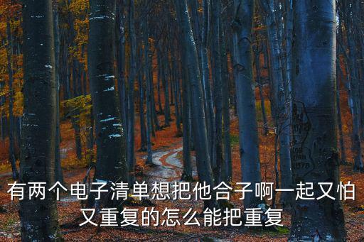 有兩個電子清單想把他合子啊一起又怕又重復(fù)的怎么能把重復(fù)