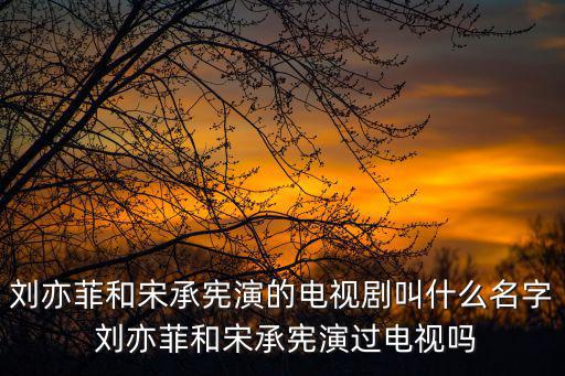 第三種愛情電視劇，電視劇版第三種愛情大結局什么意思