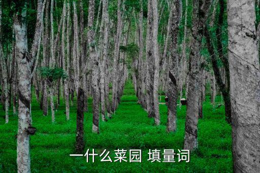 一米菜園，最近看到一個叫壹米園芽苗菜的項目有誰知道靠不靠譜