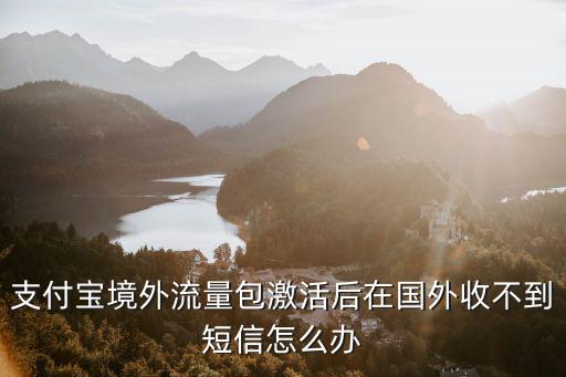 收境外流量，支付寶境外流量包激活后在國外收不到短信怎么辦