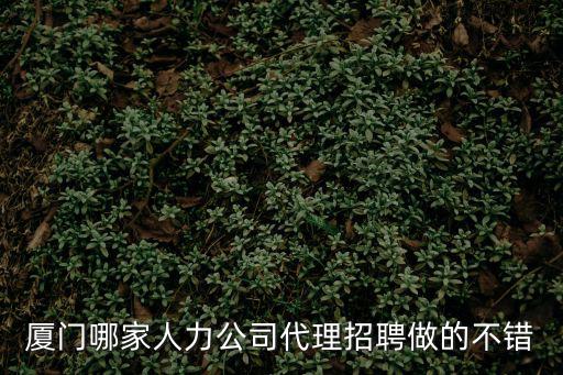 廈門人力，廈門中科智業(yè)人力資源有限公司