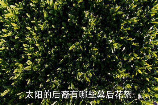 太陽的后裔有哪些幕后花絮