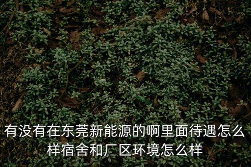東莞新能源，東莞新能源電子科技有限公司招普工嗎