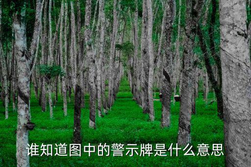 誰知道圖中的警示牌是什么意思