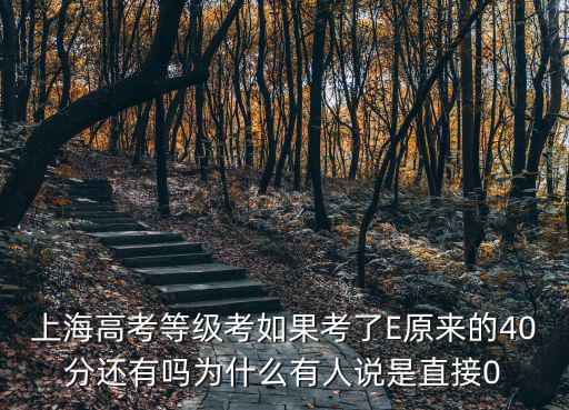 上海高考等級考如果考了E原來的40分還有嗎為什么有人說是直接0