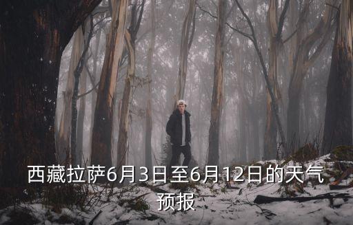 西藏拉薩天氣預(yù)報(bào)，今天拉薩天氣情況
