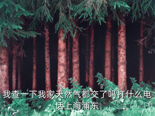 我查一下我家天然氣都交了嗎打什么電話上海浦東