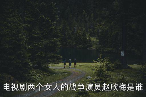 電視劇兩個女人的戰爭演員趙欣梅是誰