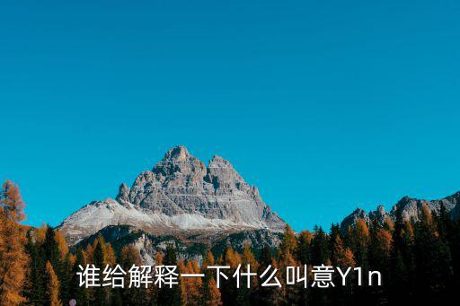 意脈，誰(shuí)給解釋一下什么叫意Y1n