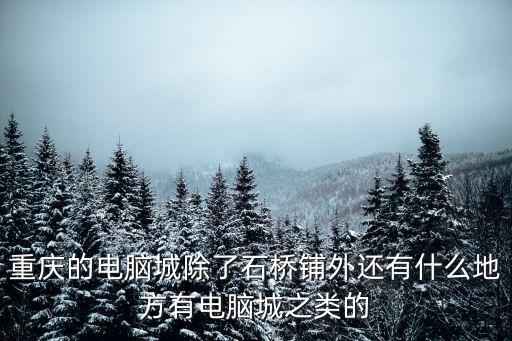 重慶電腦城，重慶的電腦城