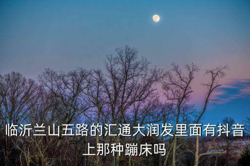 臨沂蘭山五路的匯通大潤發里面有抖音上那種蹦床嗎