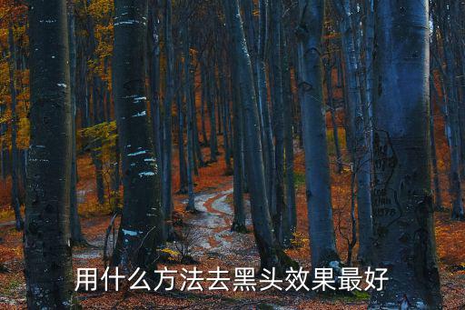 去黑頭的最好方法，天然去黑頭的最好方法