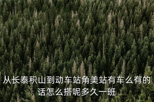 從長泰積山到動車站角美站有車么有的話怎么搭呢多久一班