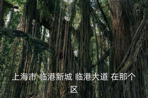 上海市 臨港新城 臨港大道 在那個區