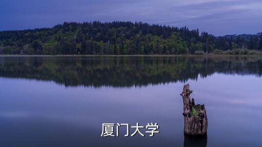 廈門大學(xué)