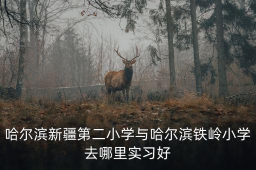 哈爾濱新疆第二小學與哈爾濱鐵嶺小學去哪里實習好
