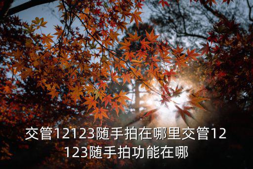 交管12123隨手拍在哪里交管12123隨手拍功能在哪
