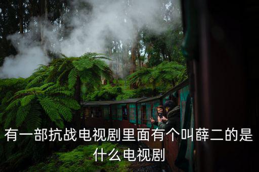 有一部抗戰(zhàn)電視劇里面有個(gè)叫薛二的是什么電視劇
