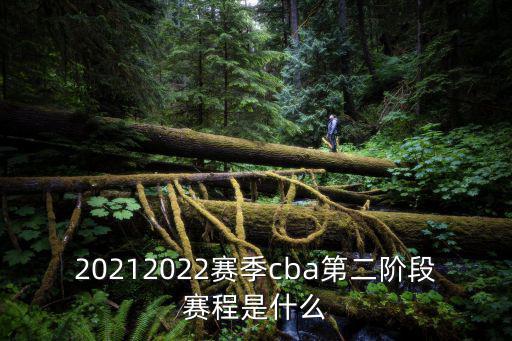 20212022賽季cba第二階段賽程是什么