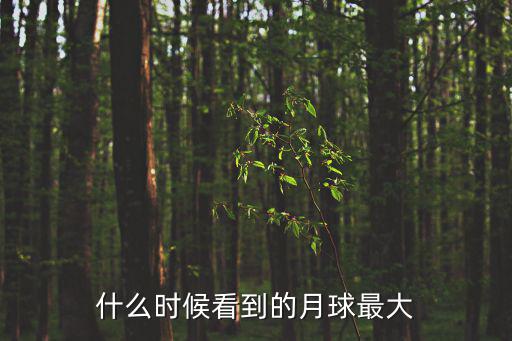 什么時候看到的月球最大