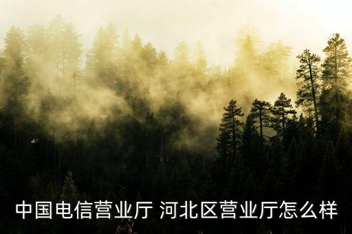 中國電信營業(yè)廳 河北區(qū)營業(yè)廳怎么樣
