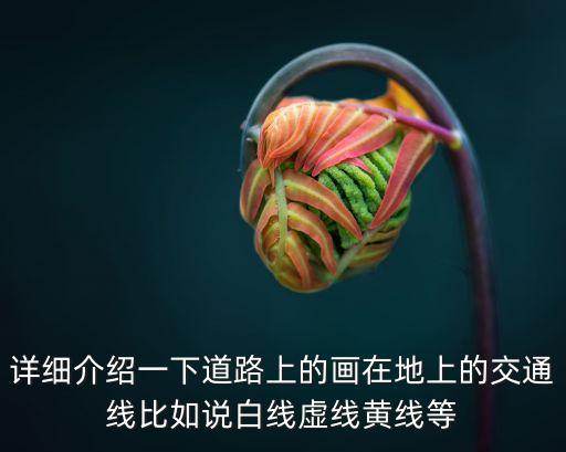 詳細介紹一下道路上的畫在地上的交通線比如說白線虛線黃線等