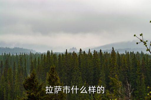 拉薩市什么樣的