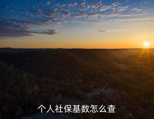 個(gè)人社?；鶖?shù)怎么查