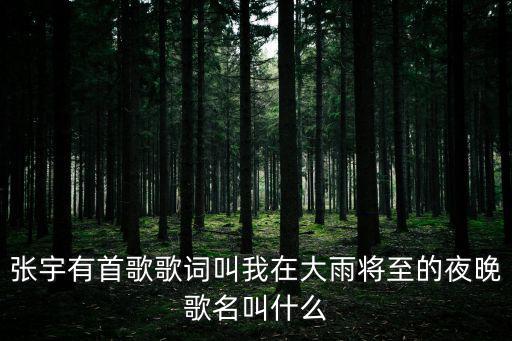 張宇有首歌歌詞叫我在大雨將至的夜晚歌名叫什么