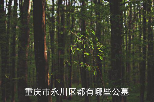 重慶市永川區(qū)都有哪些公墓